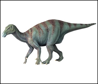 L'iguanodon Di_igu10