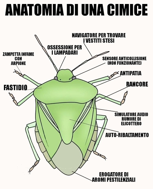 Animali... strani - Pagina 5 Animal54