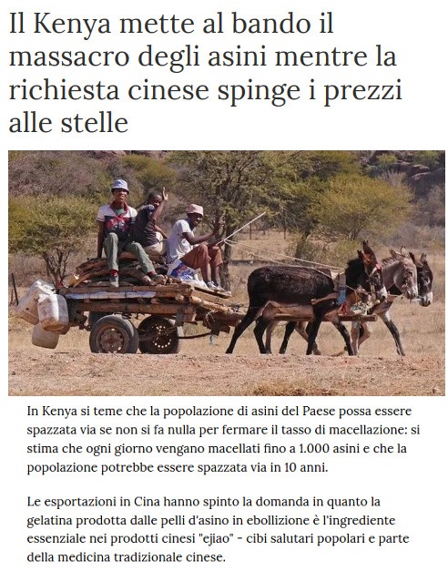 dal mondo........ - Pagina 15 Asini10