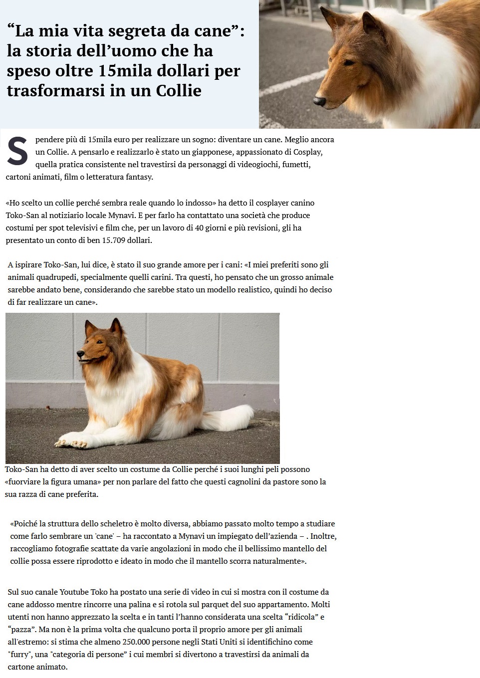 Benvenuto al cane e al gatto - Pagina 5 Cane141
