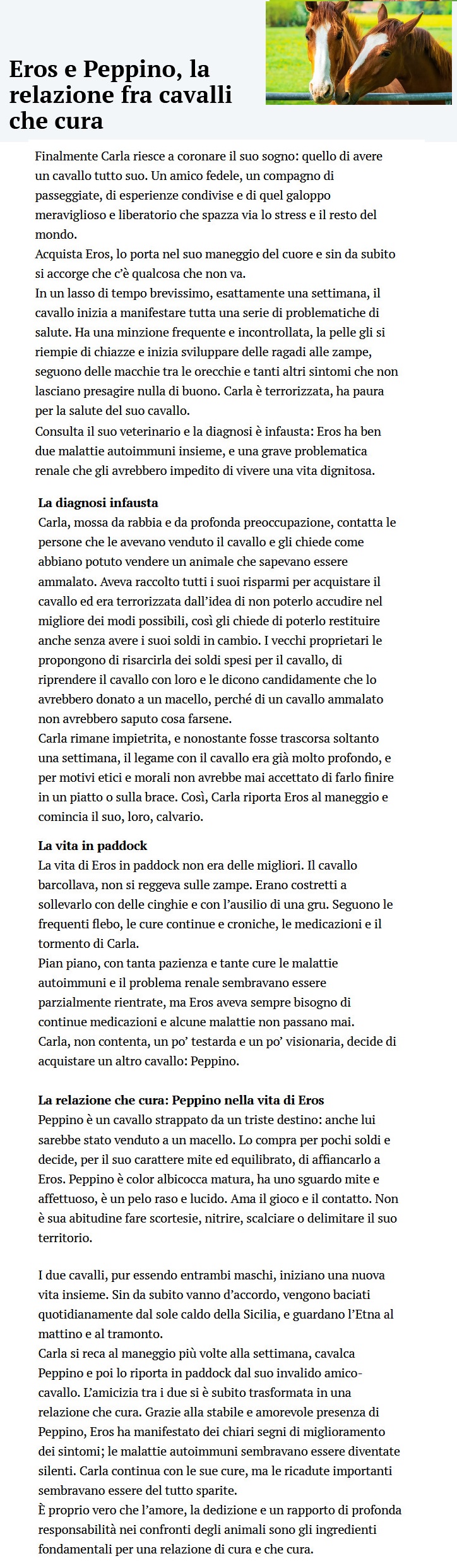 MONDO DI ANIMALI - Pagina 4 Cavall23