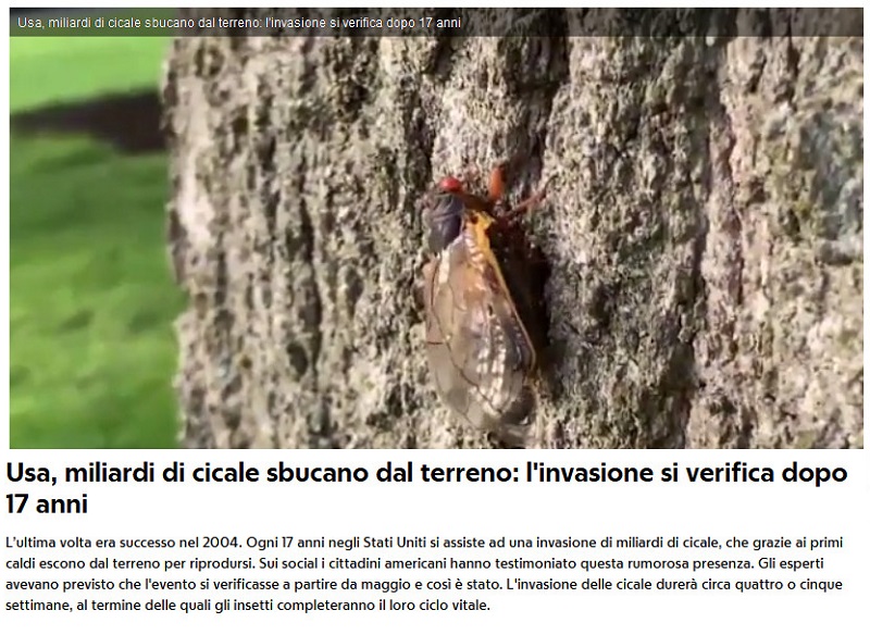 Notizie di animali....nel mondo - Pagina 12 Cicale10