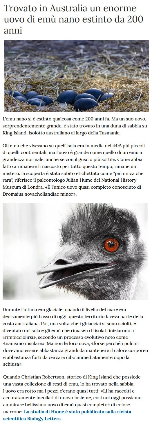 Notizie di animali....nel mondo - Pagina 12 Emu10