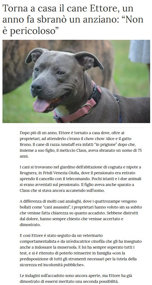 I Cani - Pagina 2 Ettore10