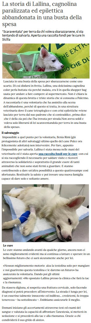 I Cani - Pagina 3 Lallin10