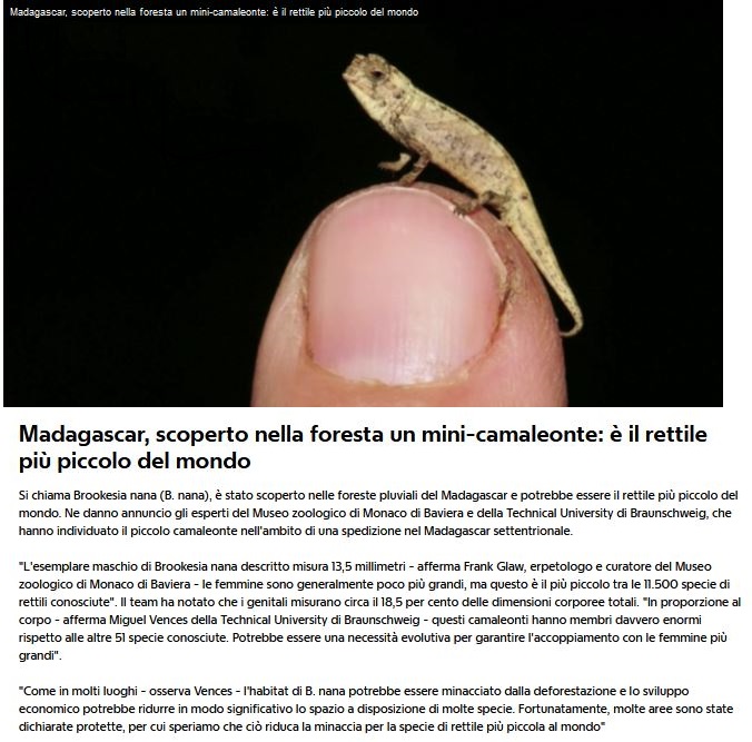 Notizie di animali....nel mondo - Pagina 11 Minica10