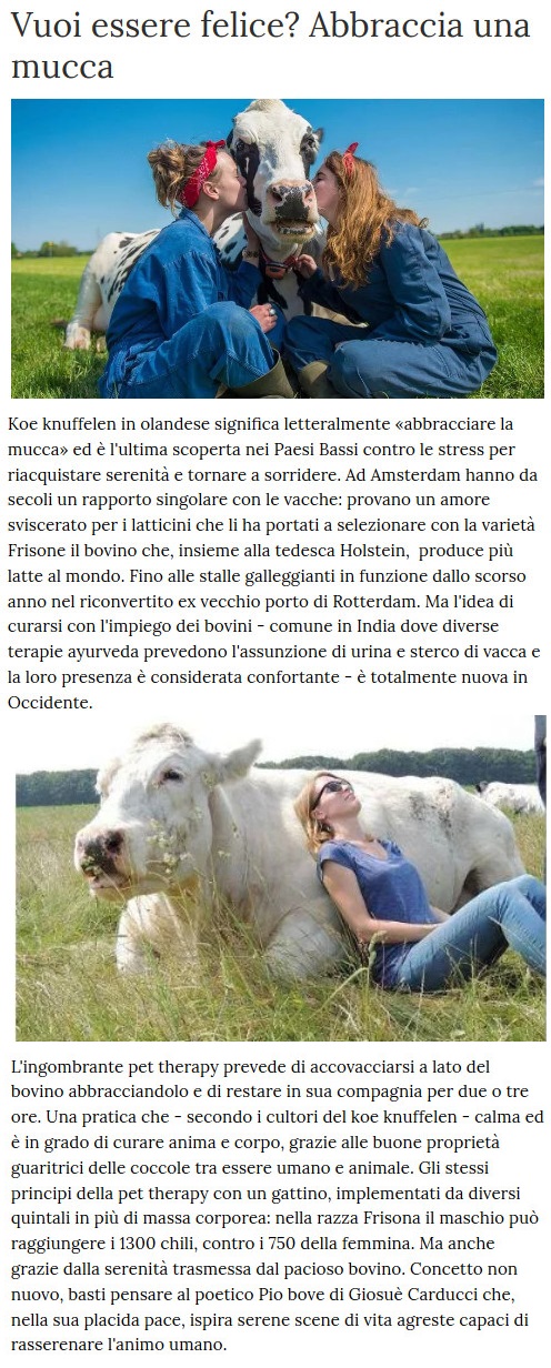 Notizie di animali....nel mondo - Pagina 7 Mucca10