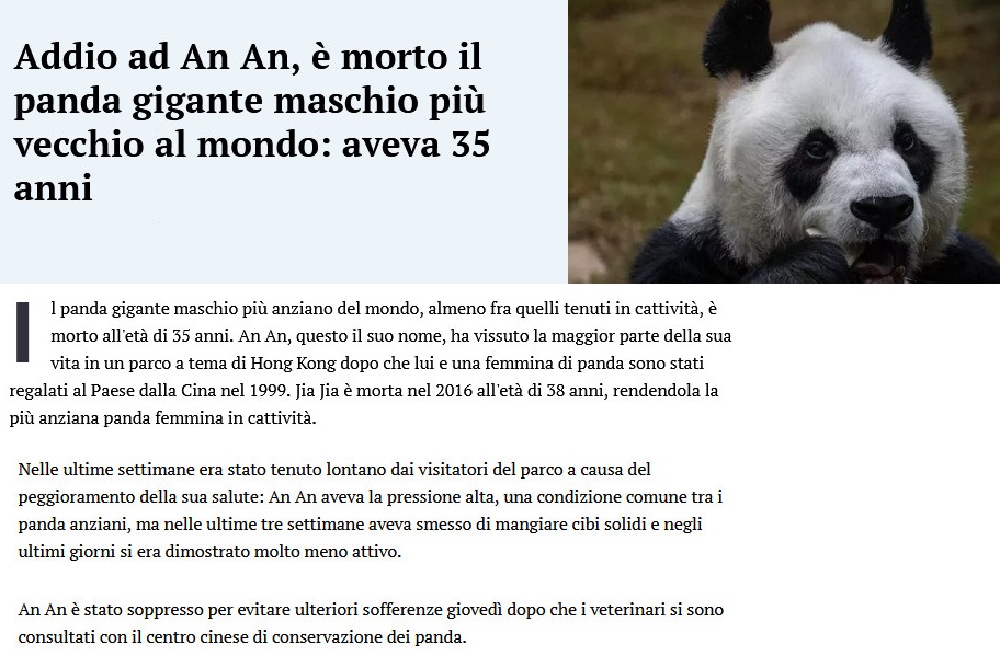 Notizie di animali....nel mondo - Pagina 19 Panda17