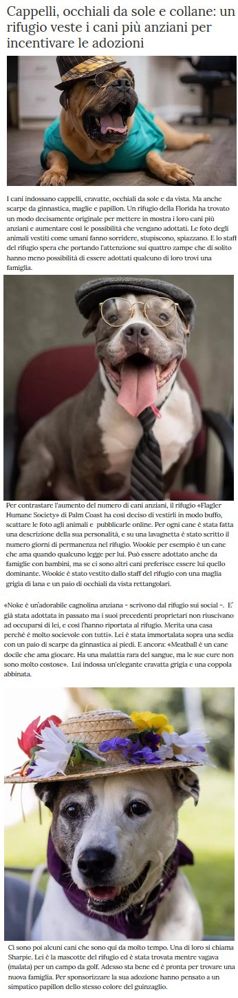 I Cani - Pagina 3 Rifugi10