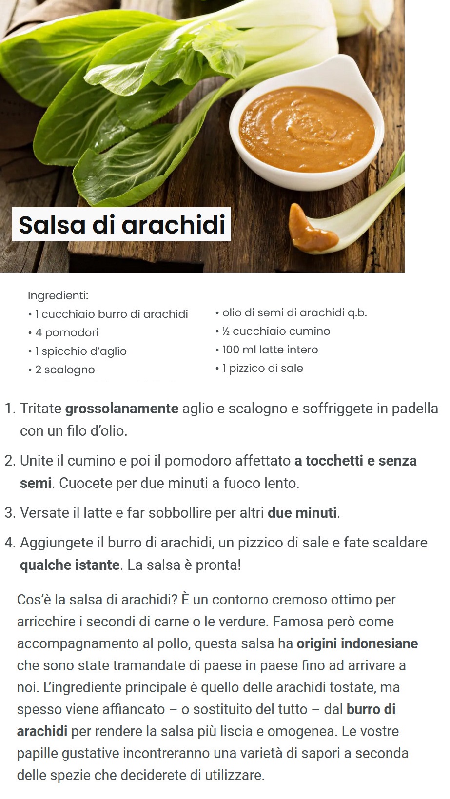 RICETTE dal MONDO - Pagina 17 Salsa11