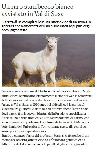 Notizie di animali....nel mondo - Pagina 9 Stambe10