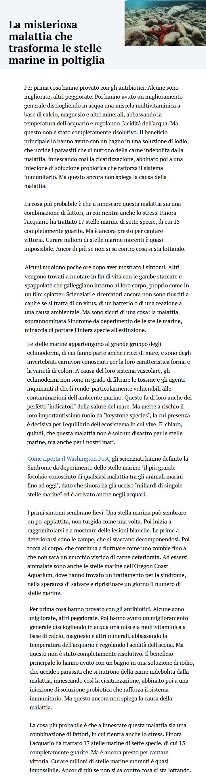 MONDO DI ANIMALI - Pagina 3 Stelle11