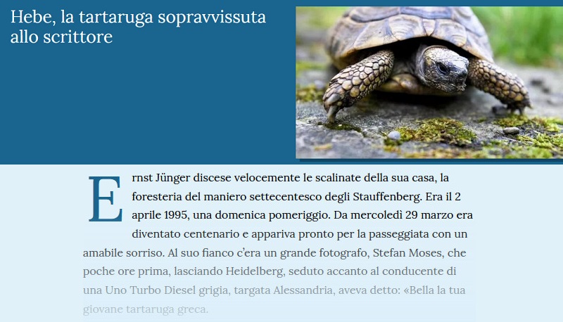 Notizie di animali....nel mondo - Pagina 14 Tartar16