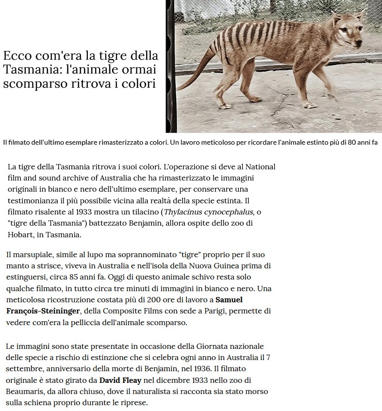 Notizie di animali....nel mondo - Pagina 15 Tigre12