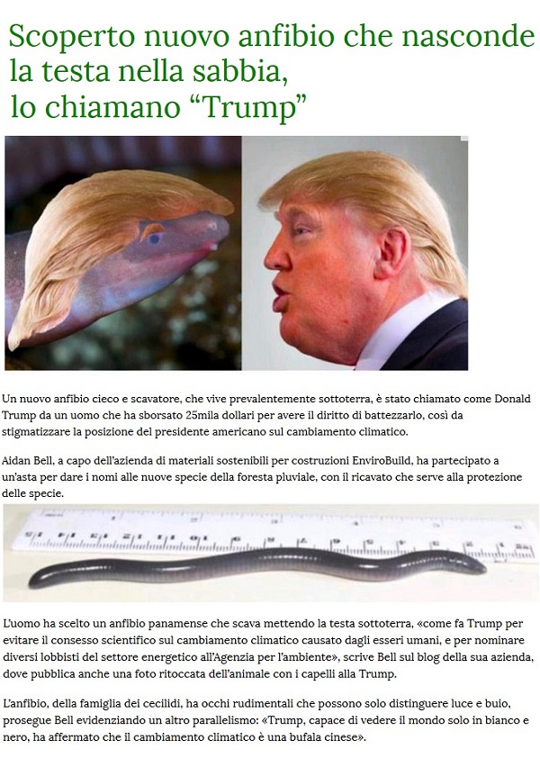 DONALD TRUMP - Pagina 2 Trump16