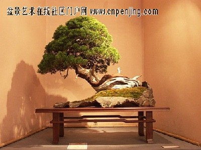 EL PENJING 5010