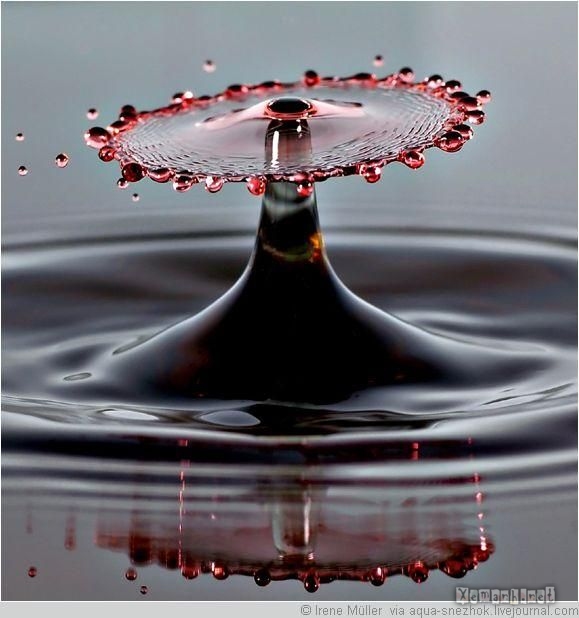 Hình ảnh sống động của giọt nước ! Water_17