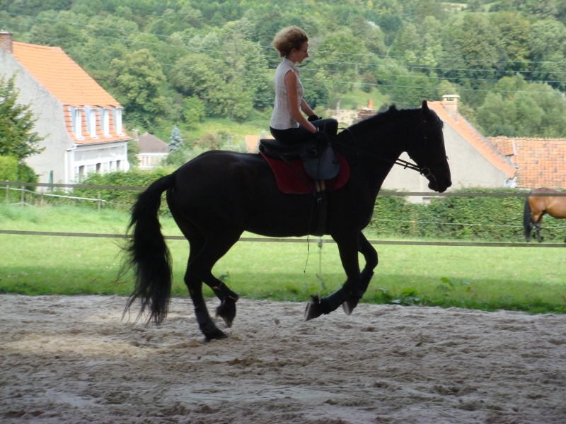 allez,je me lance... Dsc03110