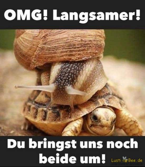 Zum lachen - Seite 3 Lustig10