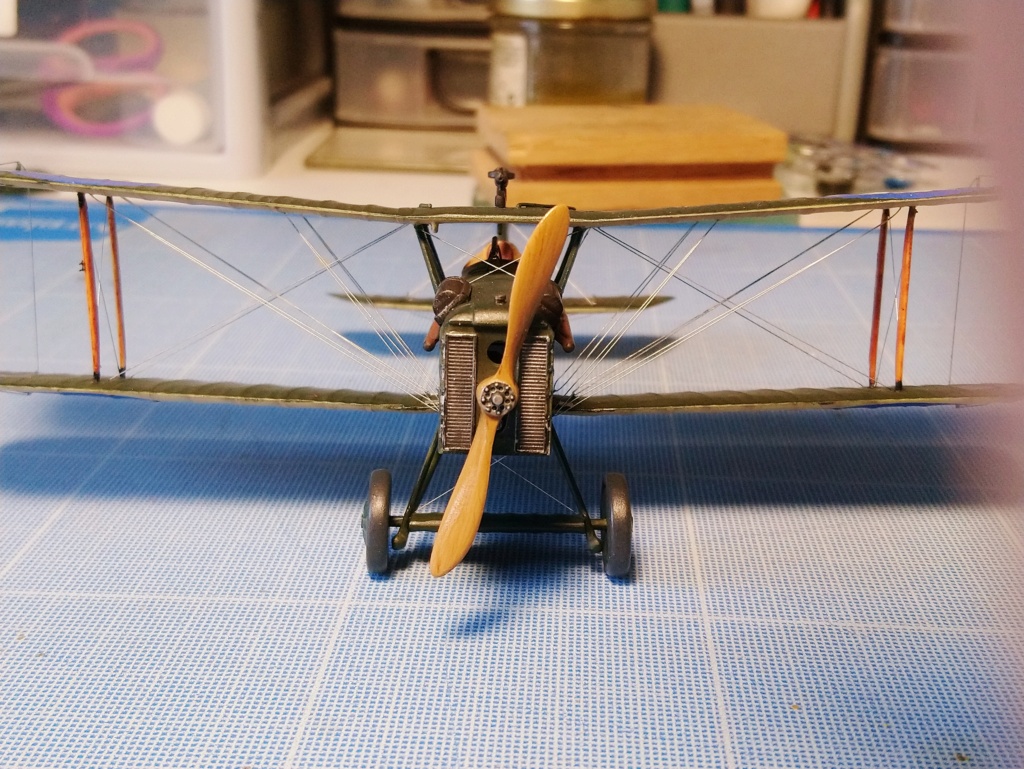 REVELL SE 5A 1/48 (ça devient bon) Dsc_0290