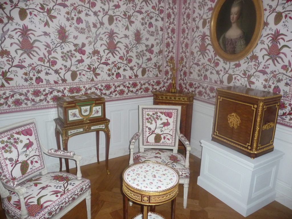 Les cabinets intérieurs de Marie-Antoinette au château de Versailles - Page 3 P1310026