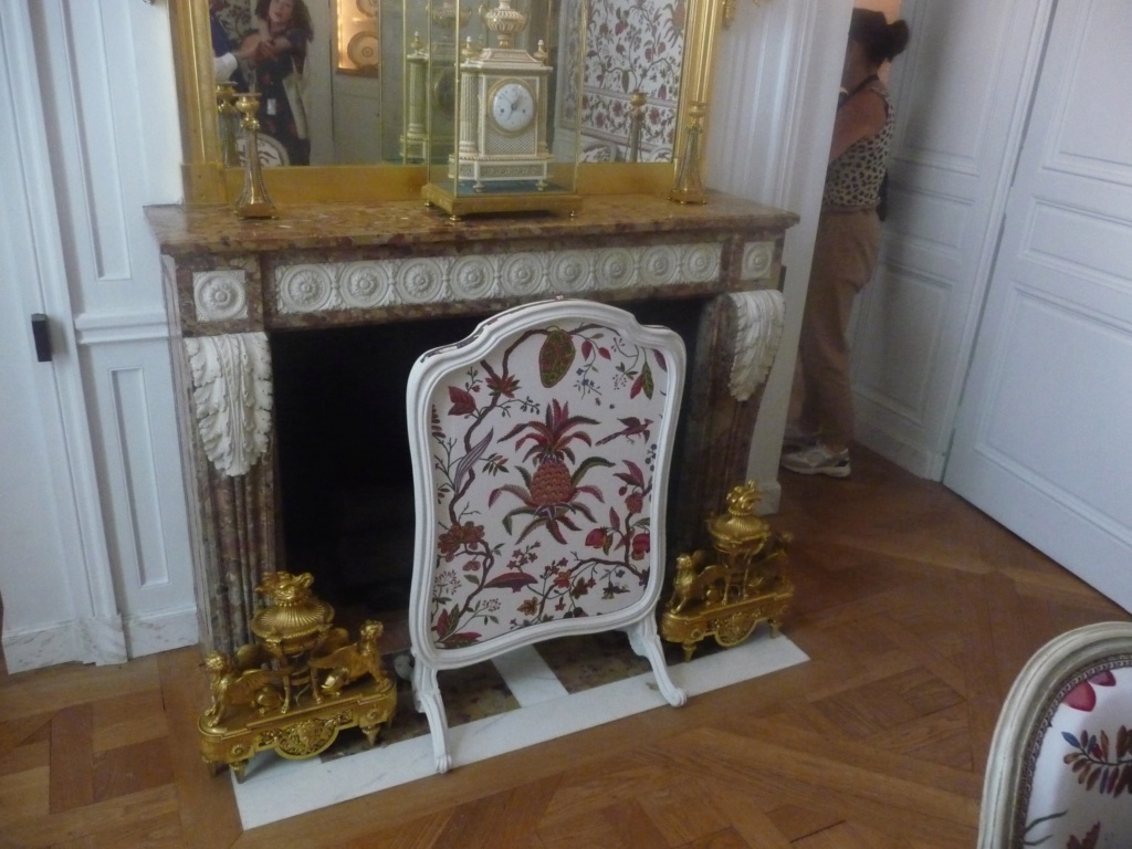 Les cabinets intérieurs de Marie-Antoinette au château de Versailles - Page 3 P1310031