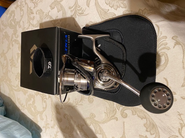 [VENDO][NUOVO] DAIWA SALTIGA BG 3500 SH Saltig10