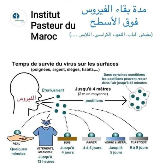 Coronavirus : Le temps de survie du virus Corona10