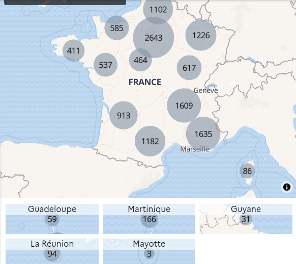 france - France - Bilan de la pandémie au 10 décembre Sans1494
