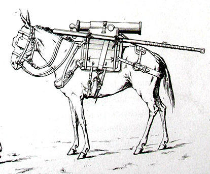 Mulet d'artillerie Sénégal 1856 Mulet_10