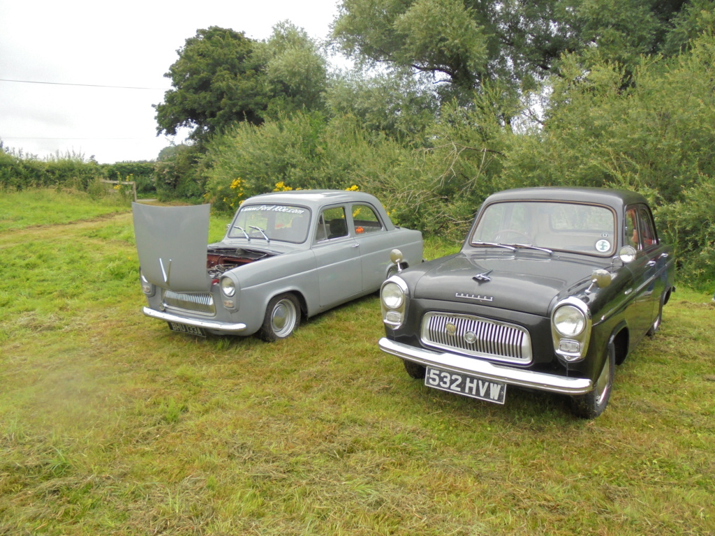 "E"s in the field 24th July Dsc00623