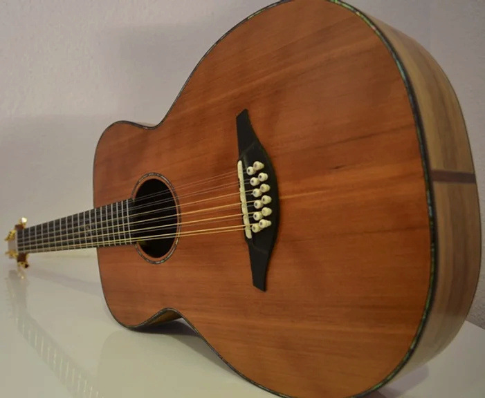 Lutherie LEVILA, MILLAU, AVEYRON 111