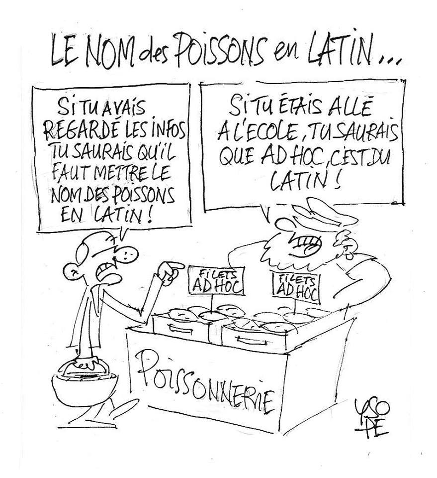 Actu en dessins de presse - Attention: Quelques minutes pour télécharger - Page 15 Ob_20410