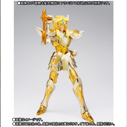 Myth Cloth EX - Aquarius Hyoga Limited Edition Hyoga310