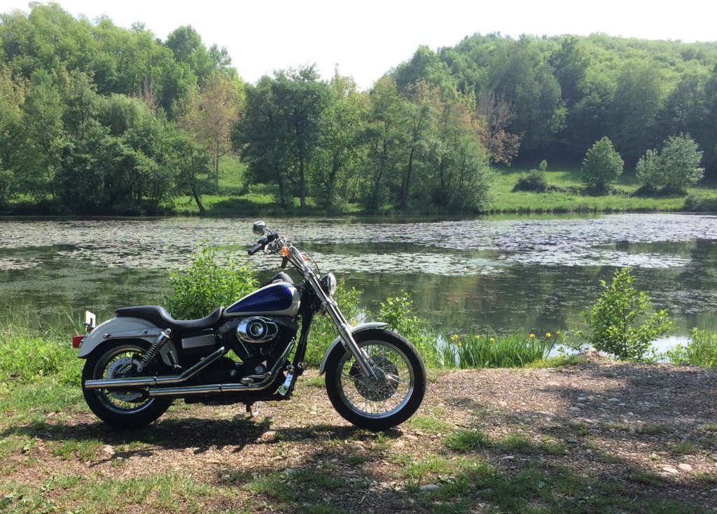 Ce que vous pensez de votre Harley ? - Page 2 Img_2710