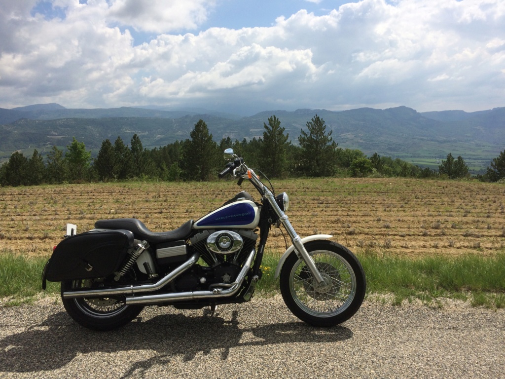 Ce que vous pensez de votre Harley ? - Page 2 Img_2711