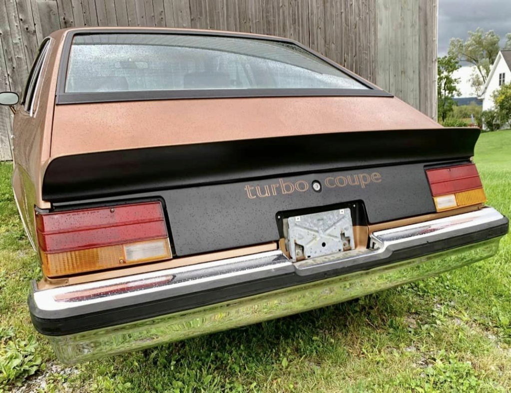 Un autre modèle rare: Le Buick Century (Turbo Coupe) 1979. 1979_b18