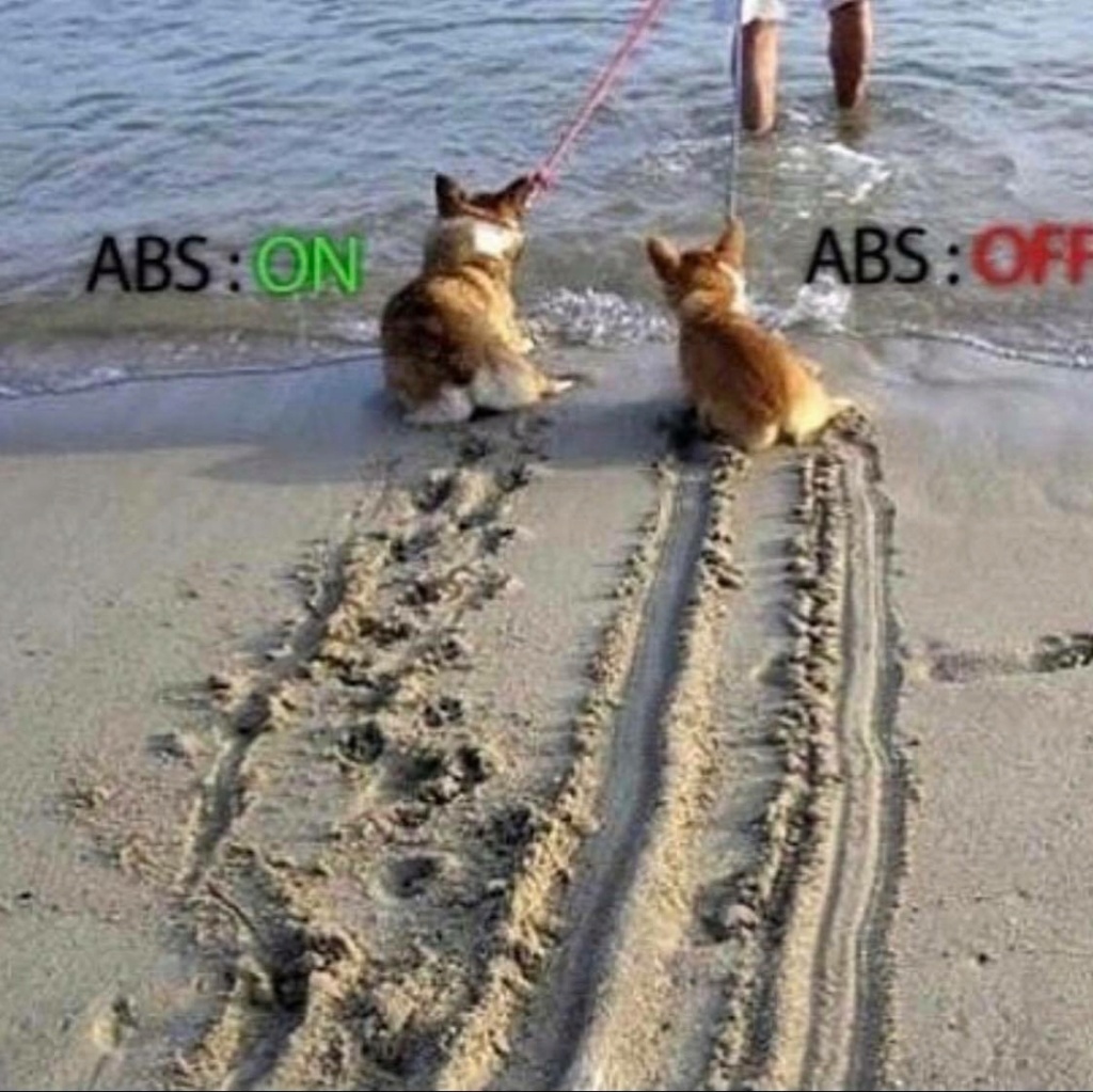 La différence entre les ABS activés et desactivés...en une image !! Abs10