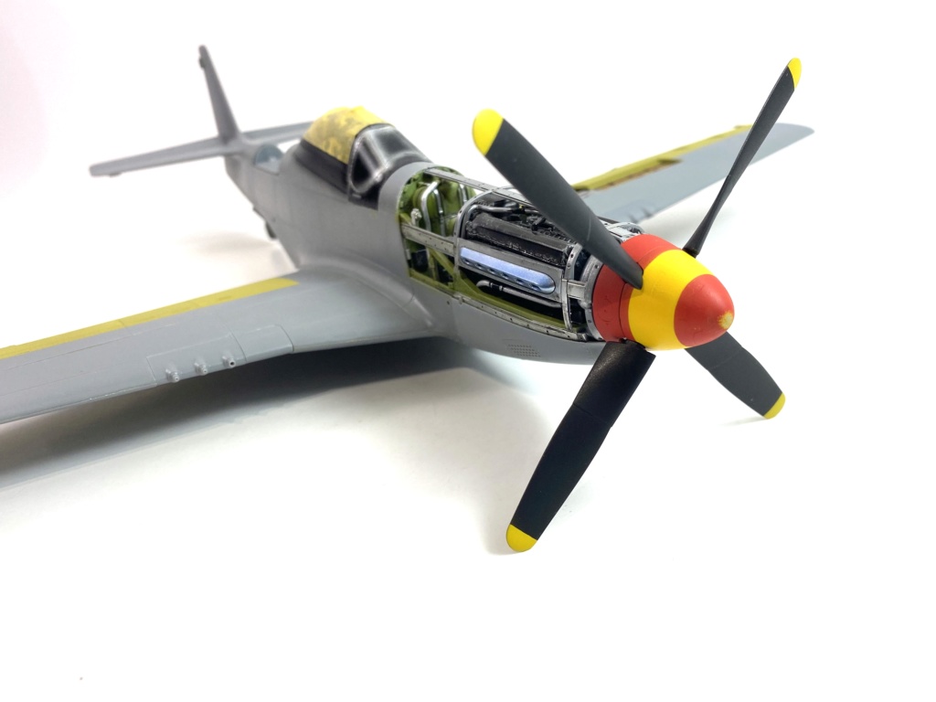 [TAMIYA -1/32] P-51D 44-13318 "Frenesi" 357thFG 364th FS Colonel Thomas L Hayes - Page 8 D18b4f10