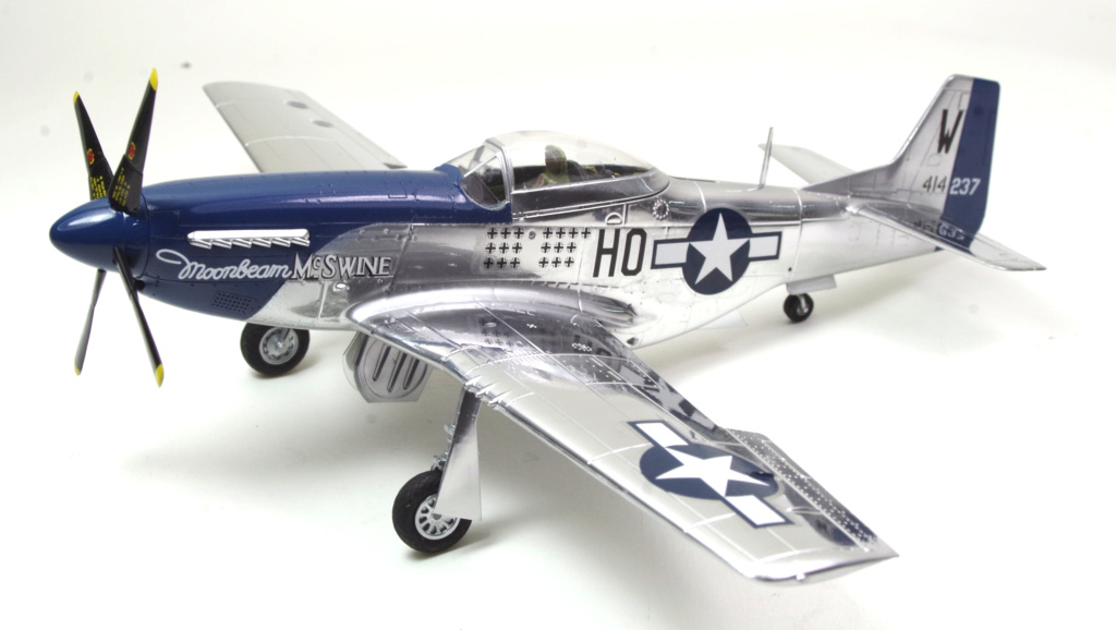 [TAMIYA - 1/48] North American P-51D "MoonBeam McSwine" Version "restaurée Meeting" Imgp6546