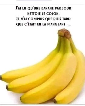 humour - Page 15 42458110