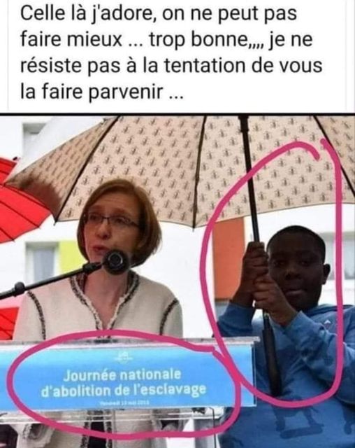 humour - Page 16 43123010