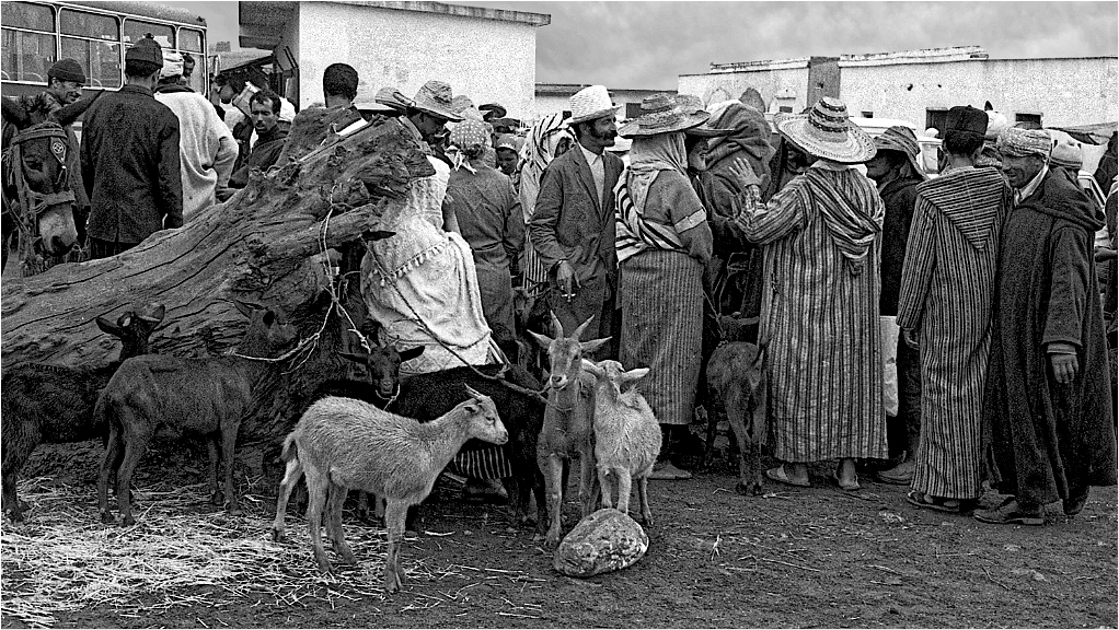 [Instants_de_vie_et_rue] ☞ Le marché aux chèvres Marchz12