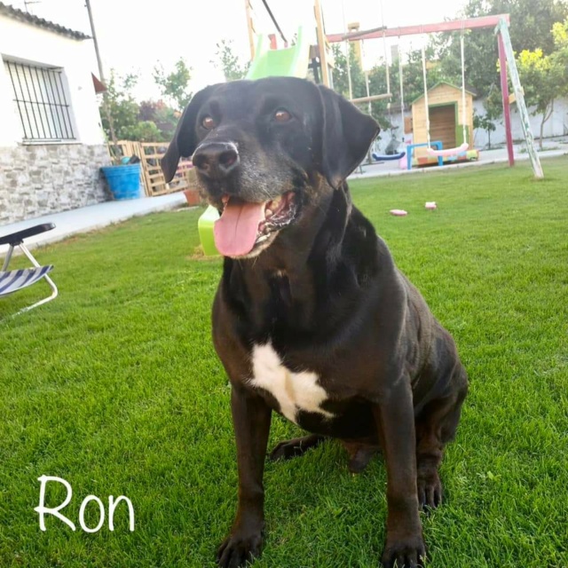 RA - Ron Fb_img45