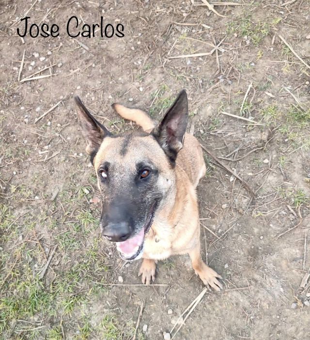 RA - Jose Carlos Jose_c12