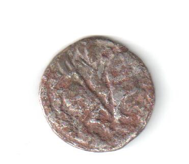 Jital Spalapati Deva, Tye 8, ceca (Kabul), 750-900 d.C. (falso de época) Jitala11