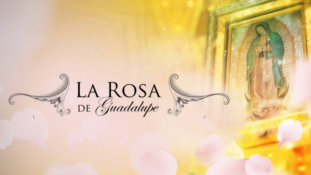 La Rosa de Guadalupe | 200 caps | Latino | 720p | x264 La_ros10
