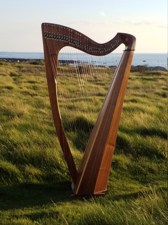 Harpe Patrick le Boulge 20191011