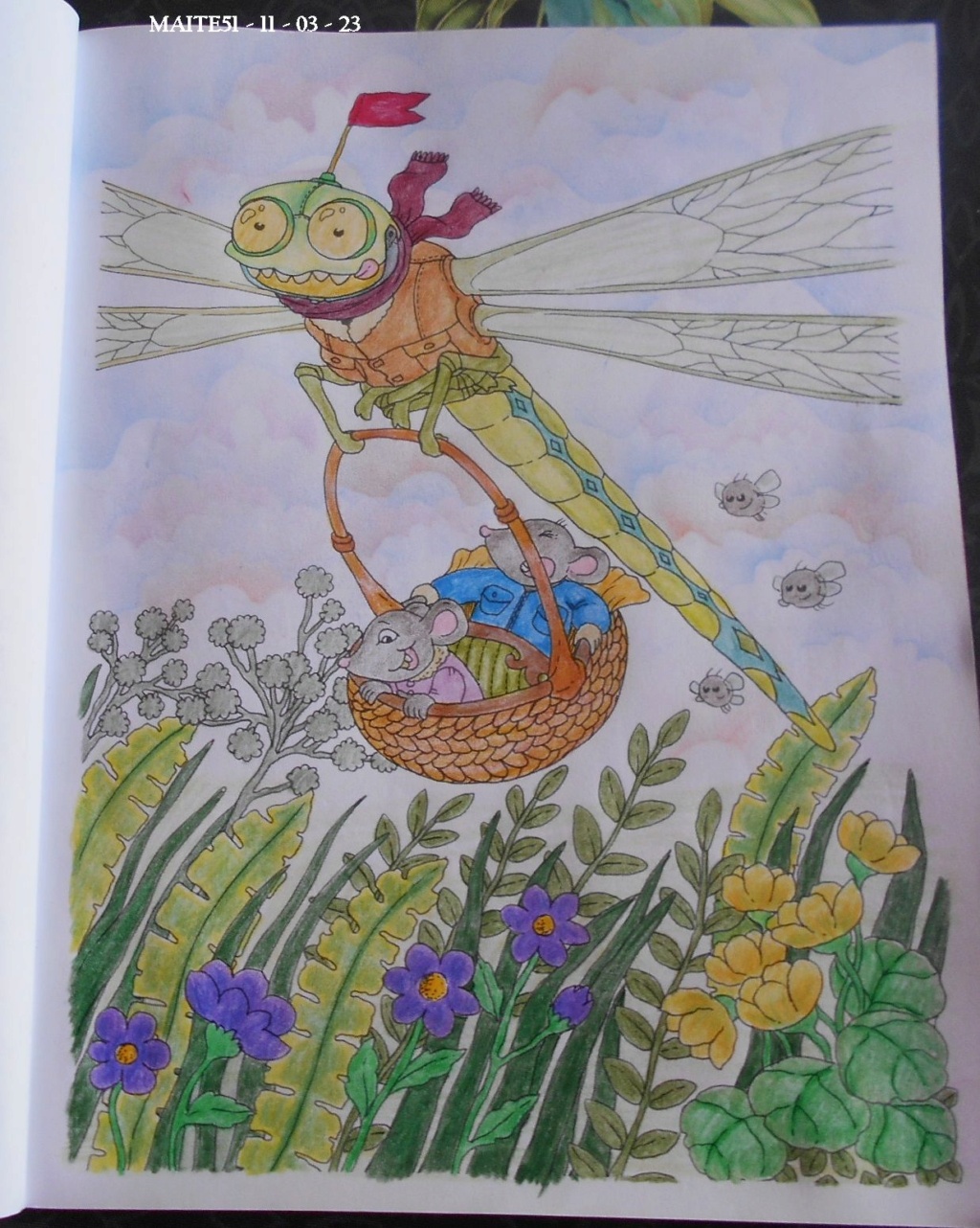 Les Gribouillages de Maite51 - Album n° 3 - Page 30 N_6_nl16