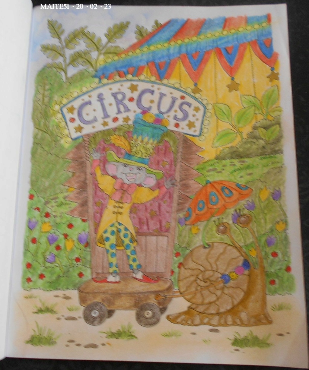 Les Gribouillages de Maite51 - Album n° 3 - Page 28 N_9_nl17